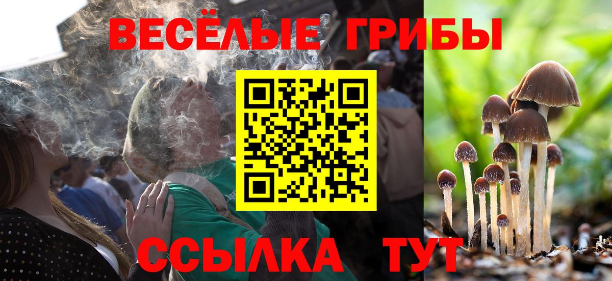 Псилоцибиновые грибы GOLDEN TEACHER  что такое наркотик  Воткинск  Вход с VPN  Галлюциногенные грибы GOLDEN TEACHER 